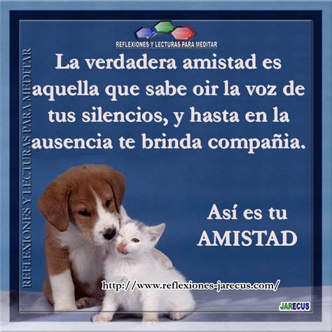 Imágenes De Reflexiones De Amistad Descargar Imágenes Gratis