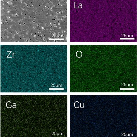 Cross Sectional Sem Micrographs Gray Images And The Eds Mapping Download Scientific Diagram