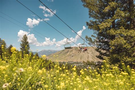 The Complete Guide To A Perfect Fall Weekend In Jackson Hole Visit