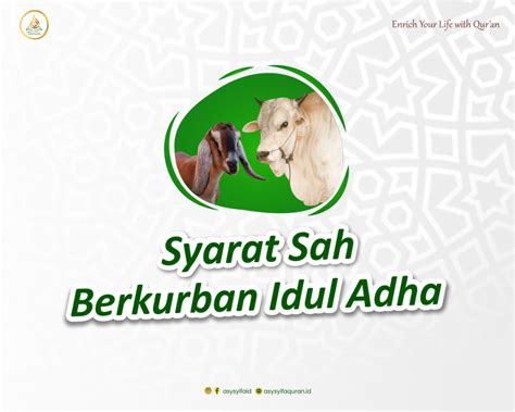 Syarat Hewan Kurban Orang Islam Wajib Tahu Asy Syifa Qur An