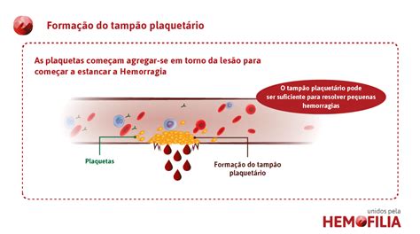 Coagulação Sanguínea Unidos Pela Hemofilia