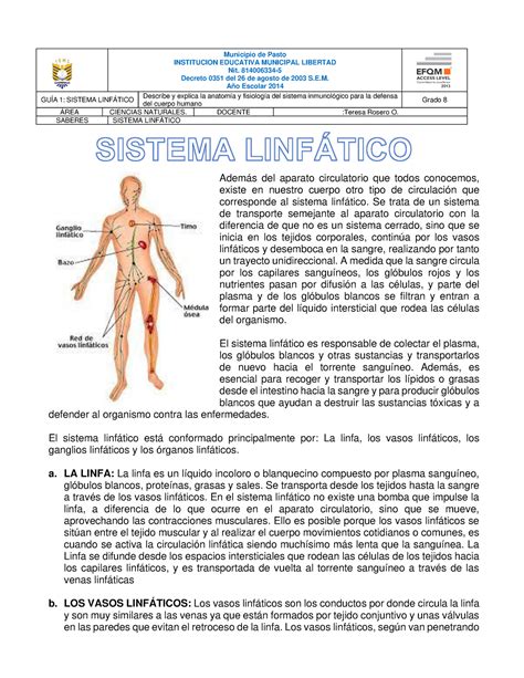 GUIA 2 Sistema Linfatico Municipio De Pasto INSTITUCION EDUCATIVA