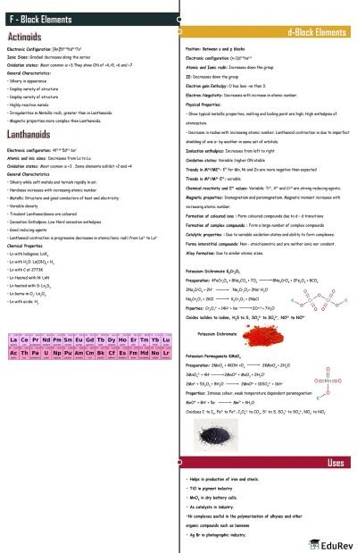 Haloalkanes And Haloarenes Mind Map