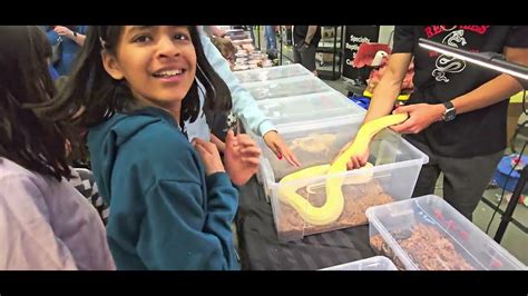 Reptile Expo Calgary 2024snakes As Pet For 300😉 Youtube