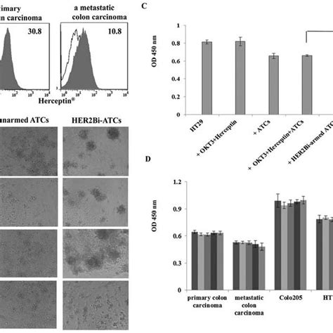 Anti Proliferative Effects Of Herceptin Or Her2Bi Armed Activated T