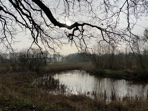 Guus Beugelink On Twitter Rt Boswachterfrans Vanochtend Een