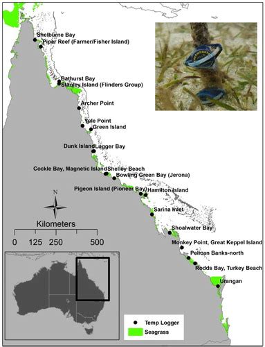 Full Article Assessing The Potential For Satellite Image Monitoring Of Seagrass Thermal