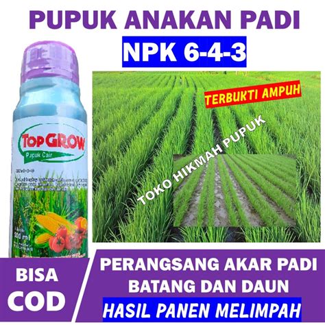 Jual Pupuk Ampuh PERBANYAK ANAKAN PADI TOP GROW 500 ML Panen Padi