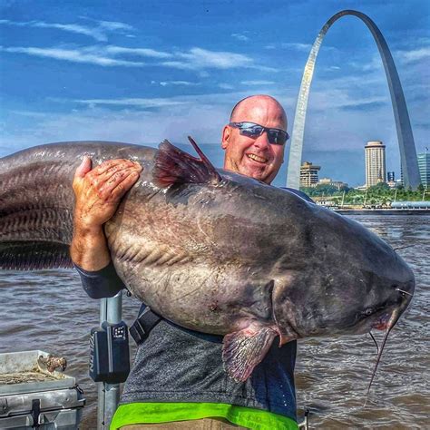 Pound Blue Catfish Truly A Landmark Catch