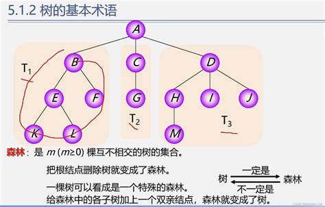 算法与数据结构 树和二叉树的定义 树和二叉树的定义以及抽象数据类型分析 Csdn博客