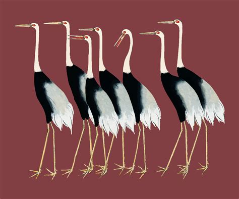 A Traditional Portrait Of A Flock Of Beautiful Japanese Red Crown Crane