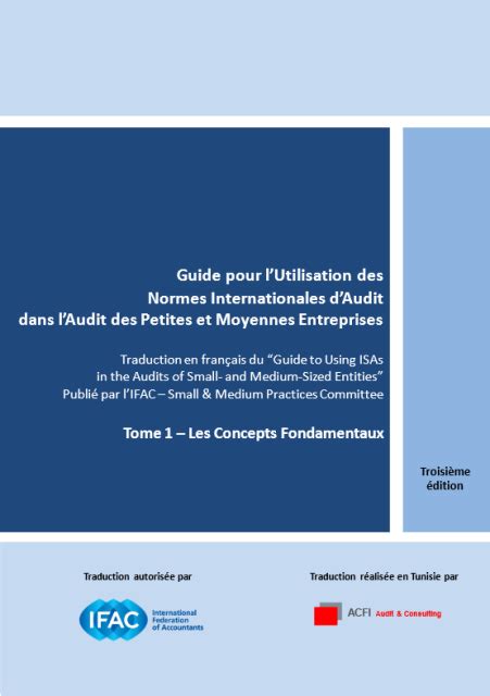 Guide Pour Lutilisation Des Normes Internationales Daudit Dans L