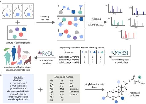 Figure 1 From A Synthesis Based Reverse Metabolomics Approach For The