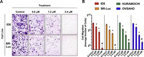 Cancer Cell Migration And Invasion Assay Results A Representative