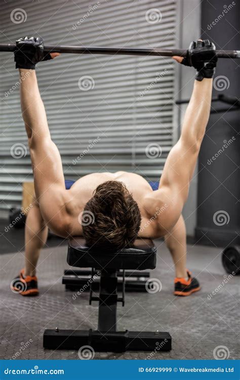 Shirtless Man Lifting Heavy Barbell On Bench Stock Image Image Of