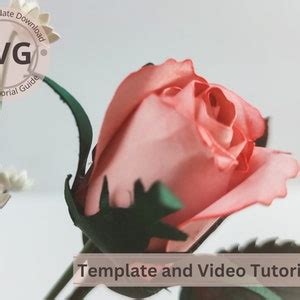 Paper Flower Rose Bud Template Tone Rose Bud Leaves Digital Svg