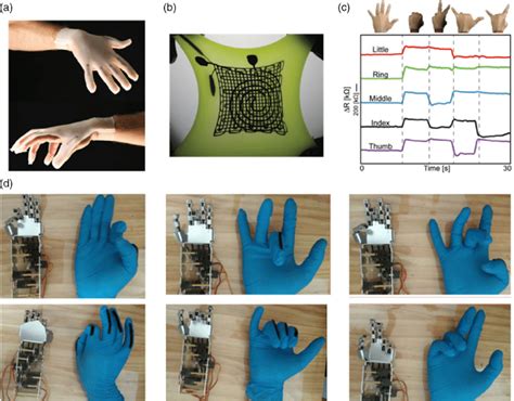 Applications Of Printed Flexible And Stretchable Strain Sensors In