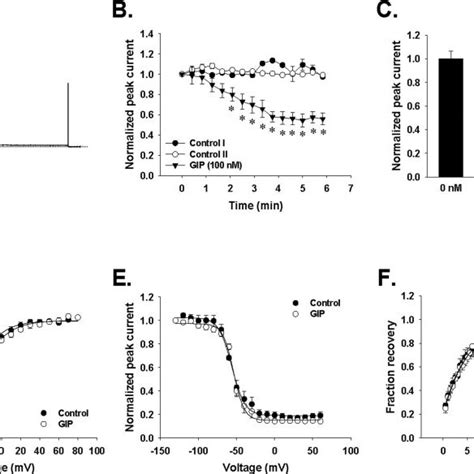 Gip Decreases Peak Ionic Current Amplitude Of K V In Gipr Hek