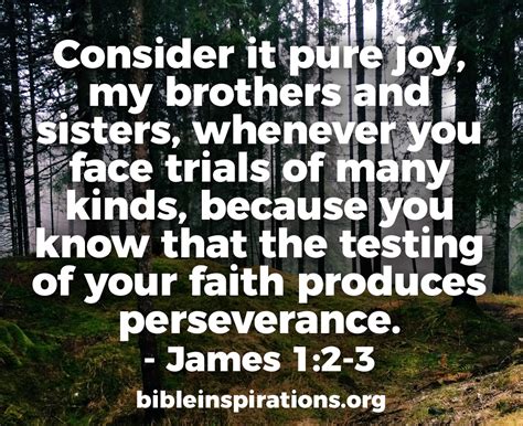 Consider It Pure Joy My Brothers And Sisters Whenever You Face Trials