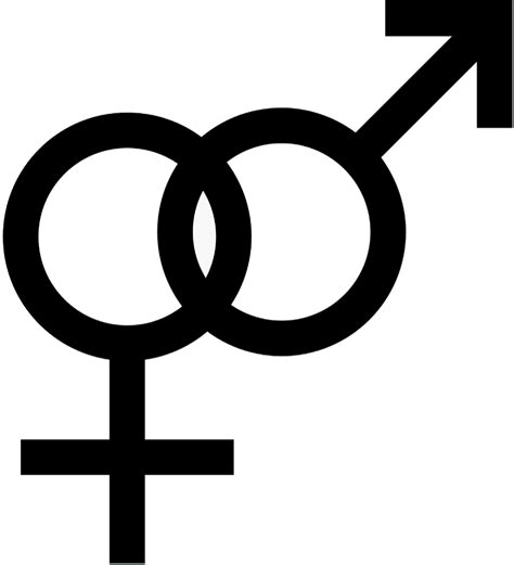 Information Regarding The Bisexuality Unicode Symbol Which Consists Of An Interlocked Female