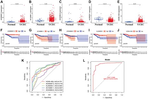 Identification And Validation Of Oxeiptosis Associated Lncrnas And