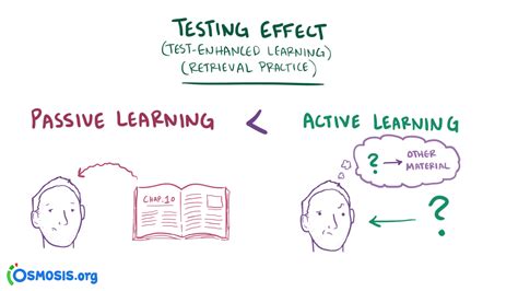 Gain A Deeper Understanding With The Power Of Test Enhanced Learning