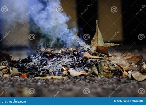 Trash Heap of Dry Leaves are Burned with Fire and Smoke Stock Image - Image of heap, cleaning ...