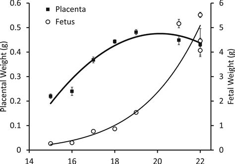 The Placenta In Toxicology Part Iii Pathologic Assessment Of The