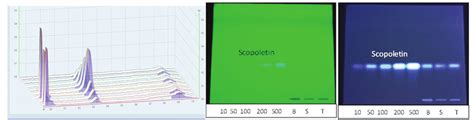 Hptlc And Tlc Chromatogram Of Standard At Various Concentration 10 Download Scientific