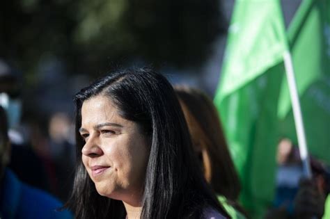 Pan Quer Esclarecimentos Do Governo Sobre Linha Circular