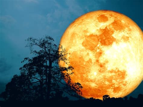 Luna De Castor Noviembre 2023 Significado Fecha Y Cómo Verla Desde Colombia