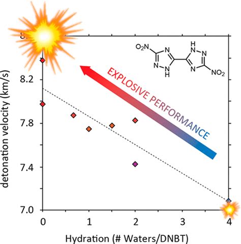 Detonation Performance Of Ten Forms Of 5 5 Dinitro 2H 2H 3 3 Bi 1 2