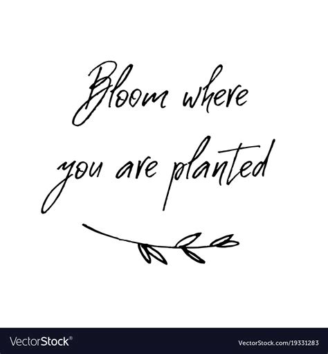 Bloom Where You Are Planted Inspirational And Vector Image