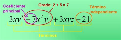 Partes Del Polinomio