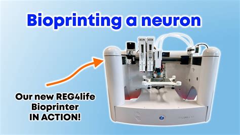 Nueva REGEMAT3D Bioprinter REG4Life Imprimiendo Una Neurona YouTube