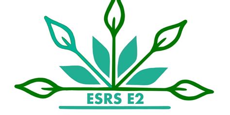 Esrs E Anticipated Financial Effects Csrd Simplified