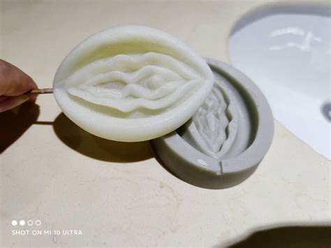 3d Vagina Mold Aldult Sex Mold Art Candle Silicone Mold Etsy Hong Kong