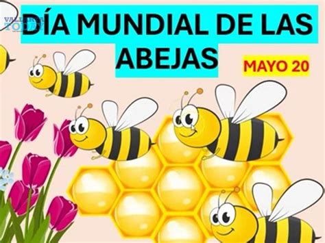 Día Mundial De Las Abejas 2024