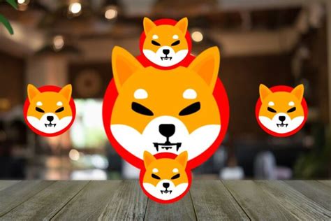 Shiba Inu Lead Developer Speaks On What Happened After Shibarium Launch