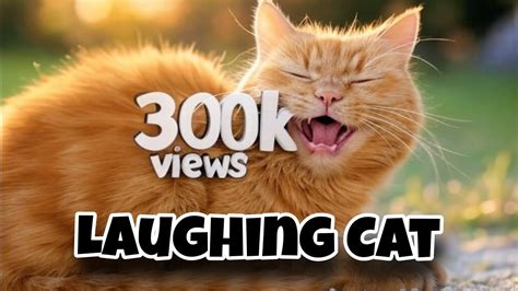 Cat Laughing Meme template #memes - YouTube