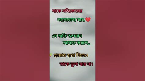 যাকে সত্যিকারের☹🥀 ভালোবাসা যায় 🥀☹সে আঘাত করল তাকে বলা যায় না 😥☹☹☹ Youtube