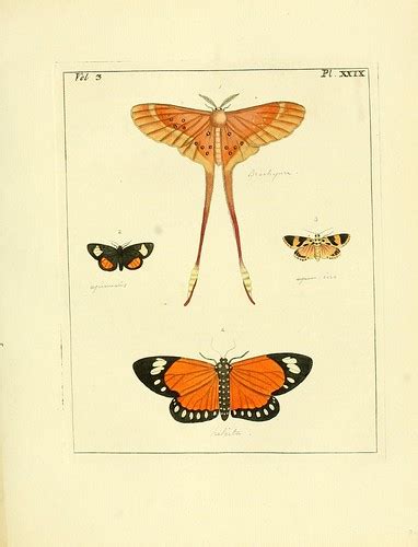 N130 W1150 Illustrations Of Natural History London Print… Flickr