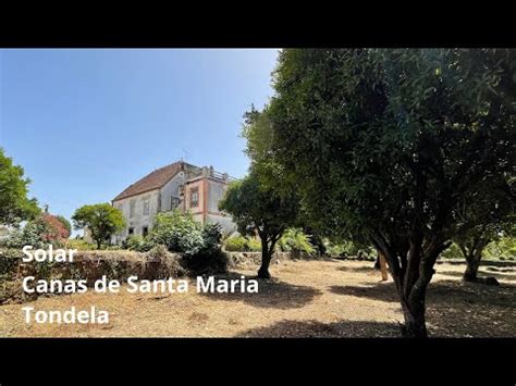 Casas Penhoradas Em Tondela Descubra As Oportunidades De Compra No