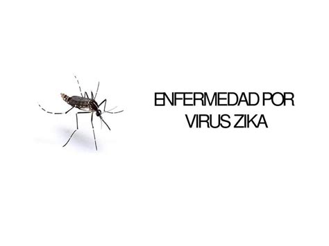 Enfermedad Por Virus De Zika Ahmed Casana UDocz