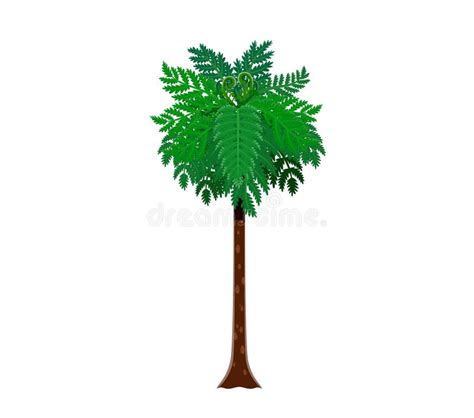 Cartoon Jungle Rainforest Tree Prehistoric Plant Stock Illustration