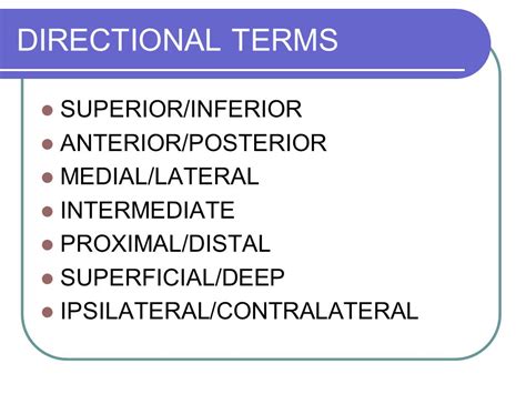 Directional Terms Superior Inferior Anterior Posterior Medial Lateral Intermediate Proximal