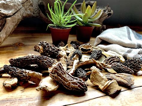 How Long Do Dried Shrooms Expire And How To Store Them Right - RYZE Superfoods