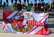 Category Testspiel Fc Red Bull Salzburg Gegen Sv Sandhausen Wikimedia