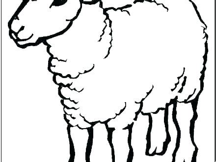 Lamb Outline Drawing at PaintingValley.com | Explore collection of Lamb Outline Drawing