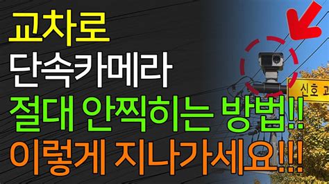 교차로 단속카메라 절대 안찍히는 방법 이렇게 지나가세요 YouTube